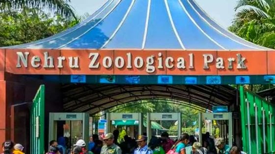 nehru zoological park in hyderabad
